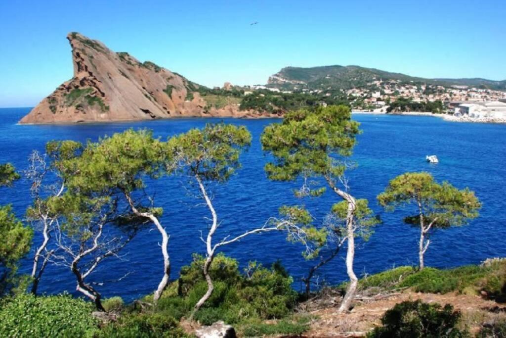 L'Oree De La Plage: Appt. Tout Confort 4/6 Pers. 400 M De La Plage La Ciotat Bagian luar foto
